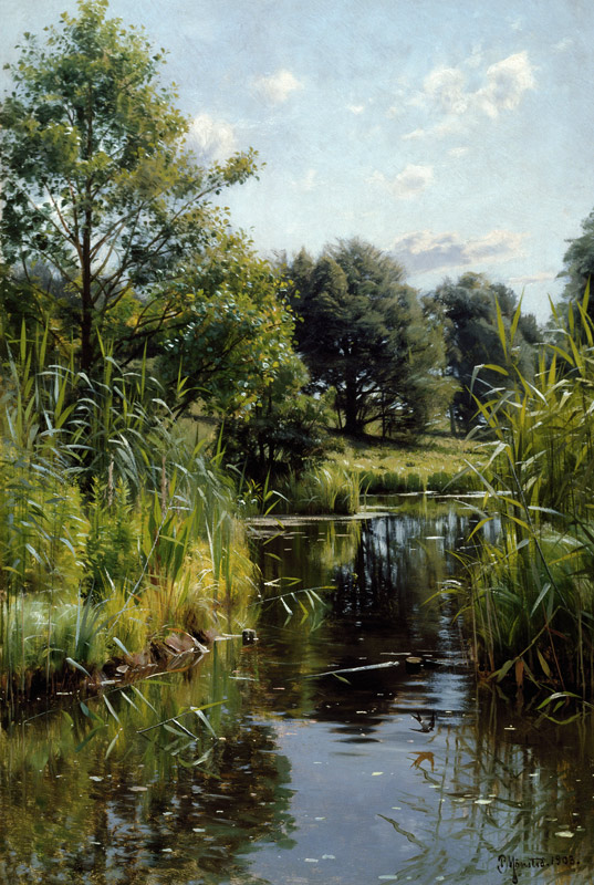 Reeds at the Lake de Peder Moensted