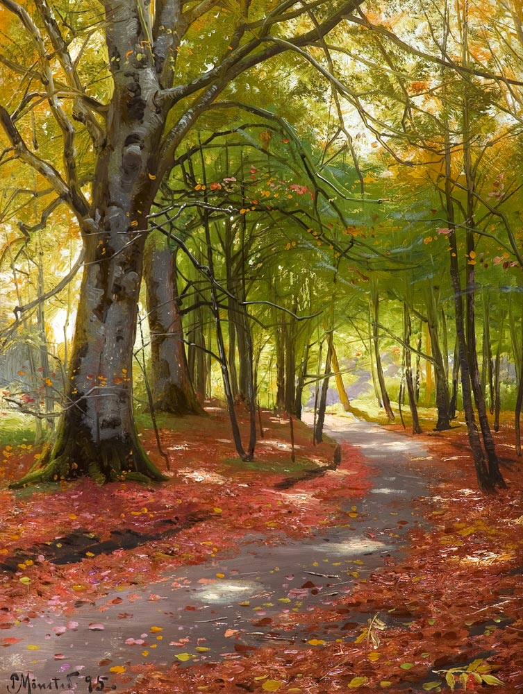 Sunny Autumn Day in the Forest de Peder Moensted