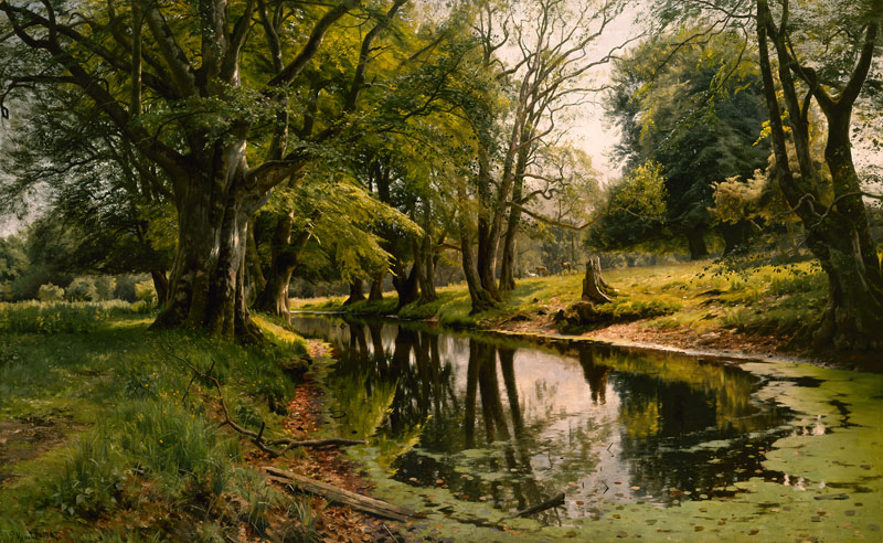 Still Water in the Forest de Peder Moensted