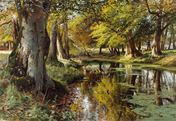 Late Summer at the Forest Stream de Peder Moensted