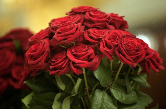 Rote Rosen de Peer Grimm
