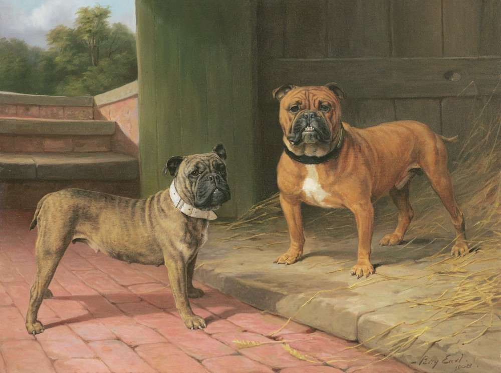 A Red Bulldog and Brindle Bulldog by a Barn de Percy Thomas Earl
