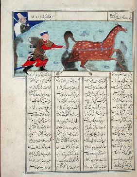 Ms C-822 Roustem capturing his horse, from the 'Shahnama' (Book of Kings)
