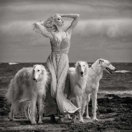 Lady with Hounds