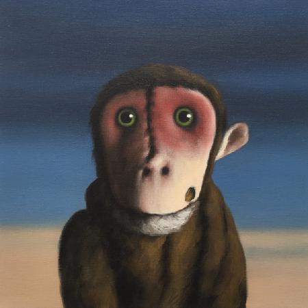 Fergus Monkey