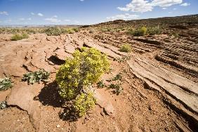 Roter Sandstein blauer Himmel Arizona US