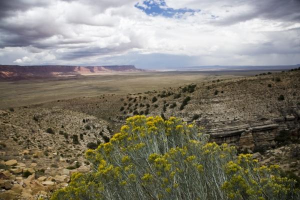 Vermillion Cliffs Arizona USA de Peter Mautsch