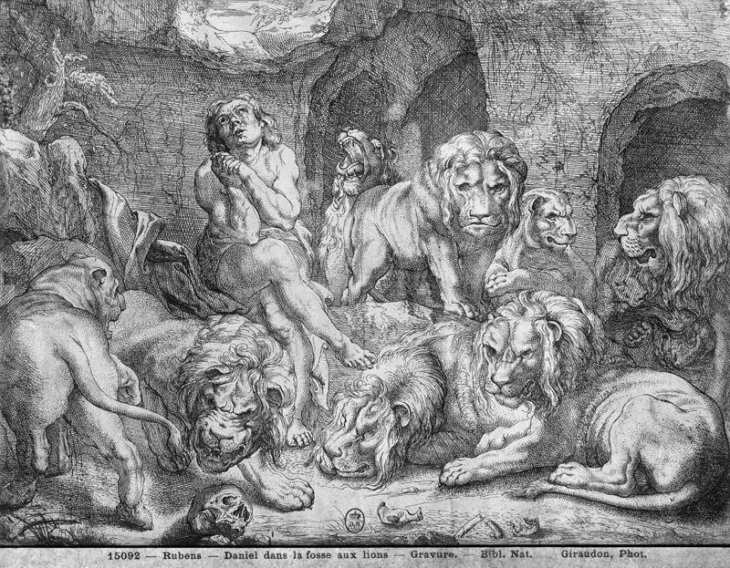 Daniel in the lions'' den de Peter Paul Rubens