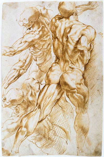 Anatomische Studie: Kämpfende Akte. de Peter Paul Rubens
