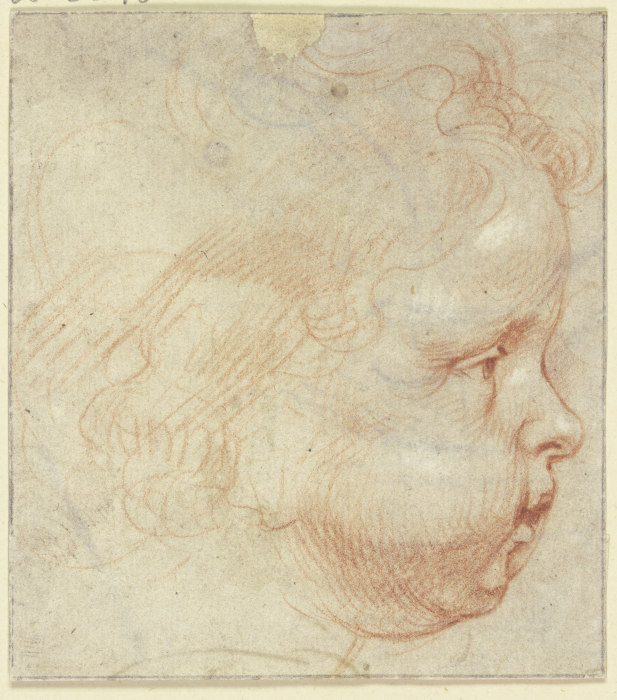 Kinderkopf im Profil nach rechts de Peter Paul Rubens