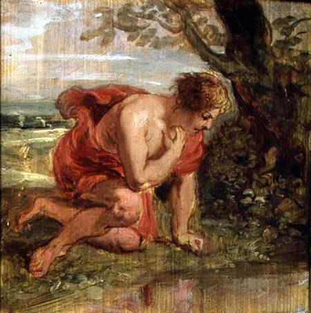 Narcissus de Peter Paul Rubens