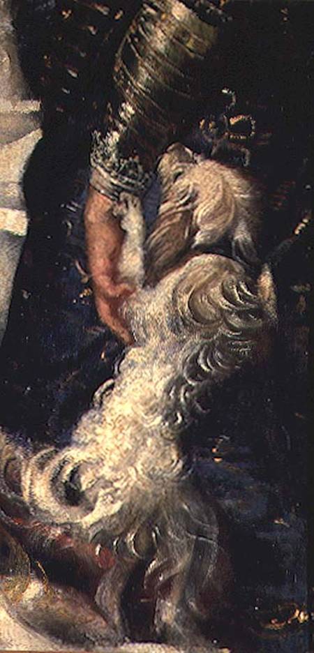 Rampant Puppy de Peter Paul Rubens