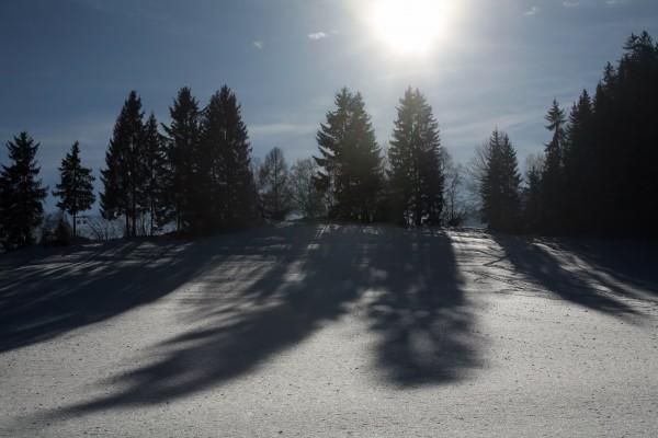 Bäume mit Schatten in Winterlandschaft de Peter Wienerroither