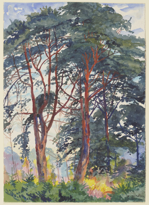 Pine forest de Philipp Franck