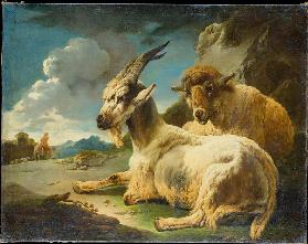 Sheep and Goat in a Rocky Landscape,