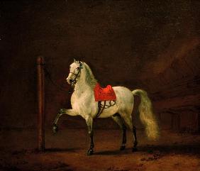 White Horse in the Stable