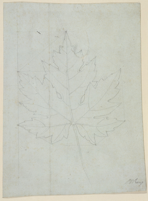 Maple leaf de Phillip Otto Runge