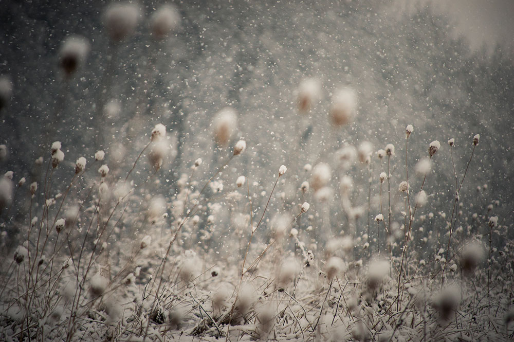 Magical Winter de PhotoCosma