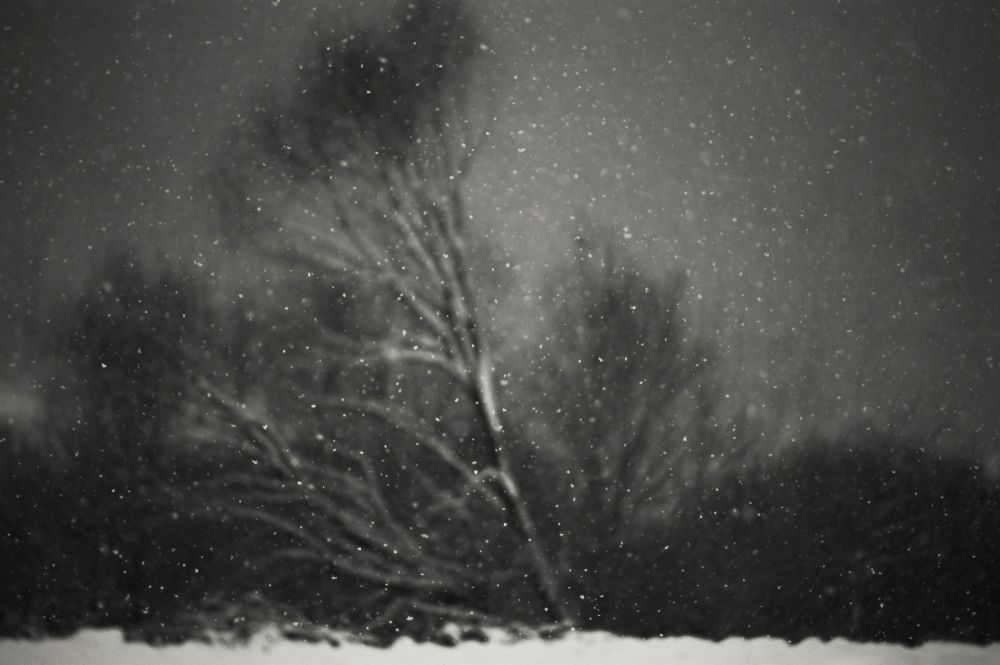 Winter de PhotoCosma
