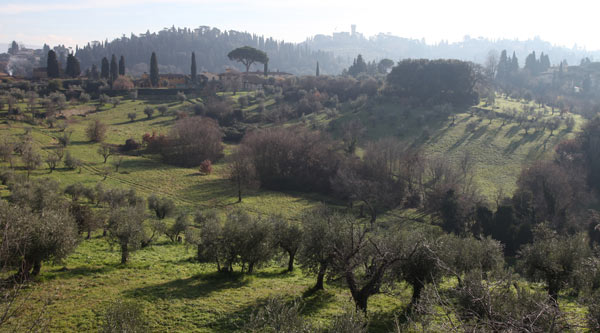 Paisaje de colina cerca de Florencia de Andrea Piccinini