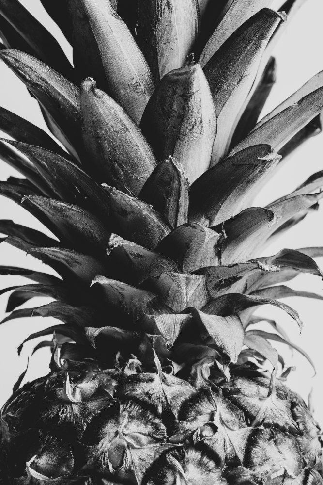 Pineapple Close Up 02 de Pictufy Studio III