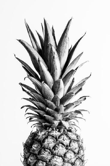 Pineapple Black &amp; White 01