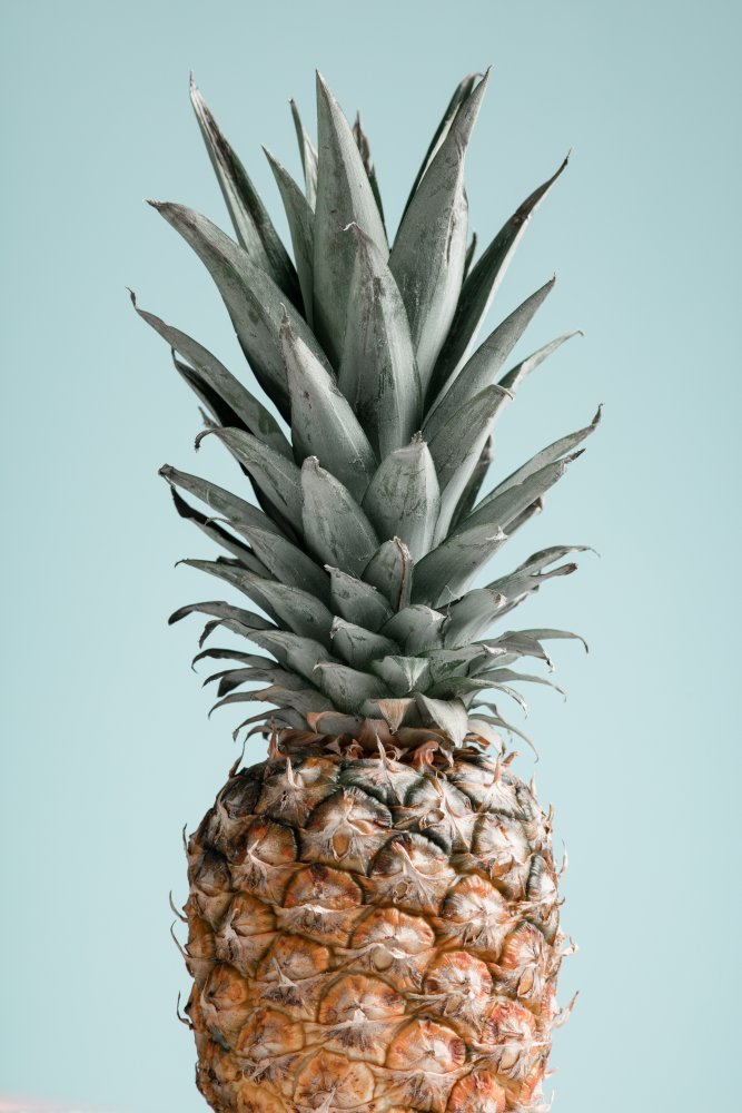 Pineapple Blue 01 de Pictufy Studio III