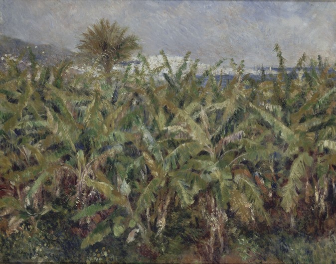 Field of Banana Trees (Champ de bananiers) de Pierre-Auguste Renoir