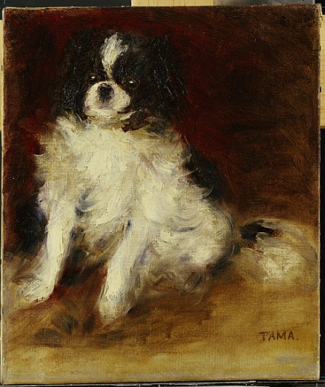 Tama de Pierre-Auguste Renoir