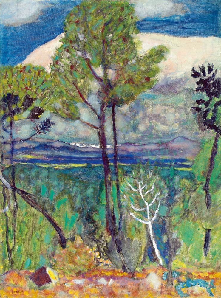 Landscape de Pierre Bonnard
