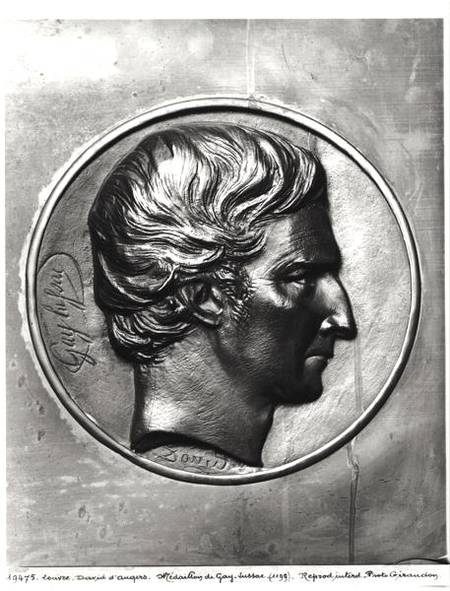 Louis Joseph Gay-Lussac (1778-1850) de Pierre Jean David d'Angers