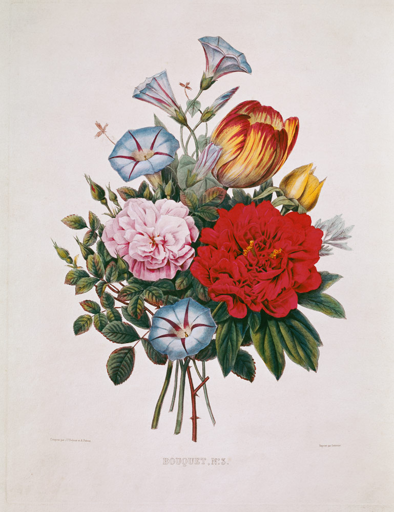 Bouquet N ° 3 with tulip, pink, winches and peony de Pierre Joseph Redouté