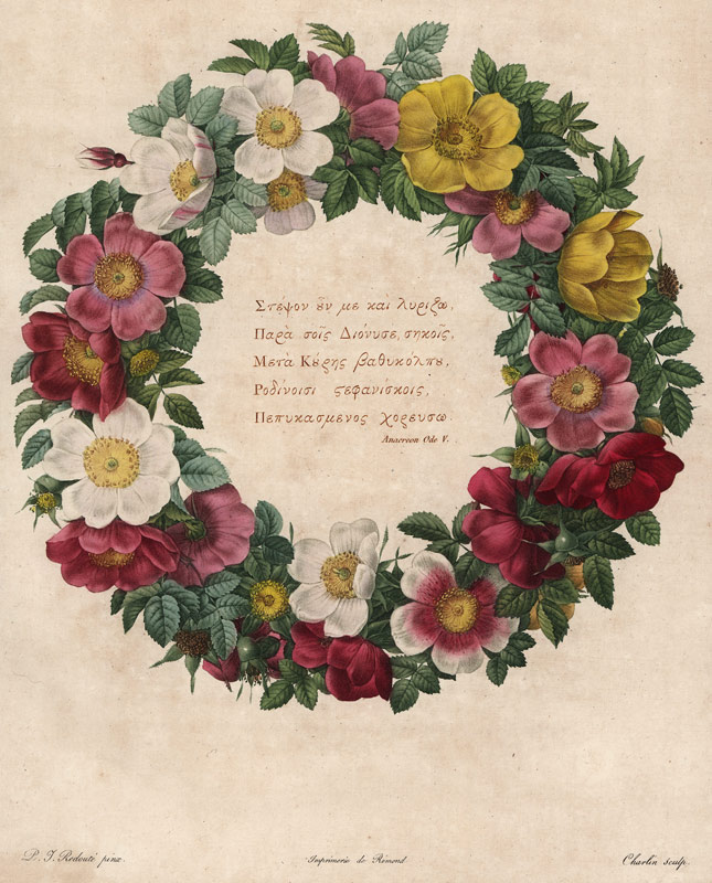 Christmas Roses de Pierre Joseph Redouté