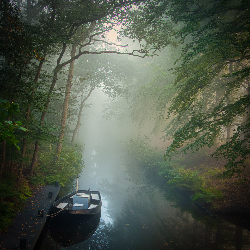 Waiting for.......... de Piet Haaksma