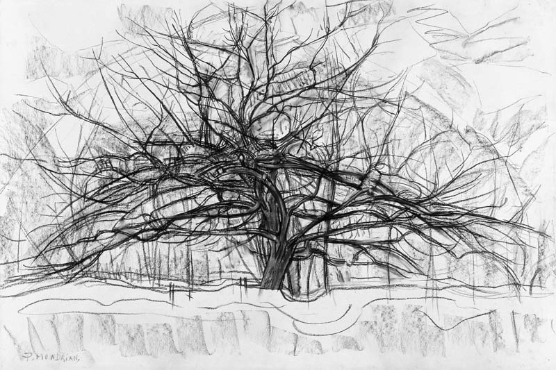 Study for The Grey Tree de Piet Mondrian