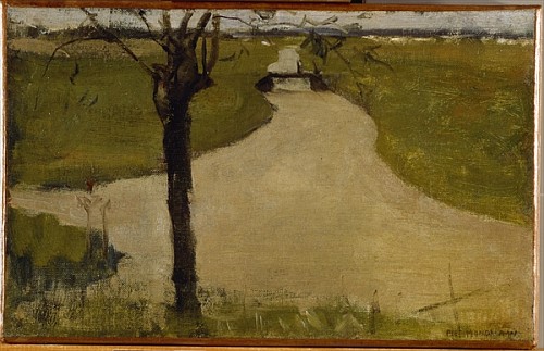 Irrigation Ditch with Young Pollarded Willow de Piet Mondrian