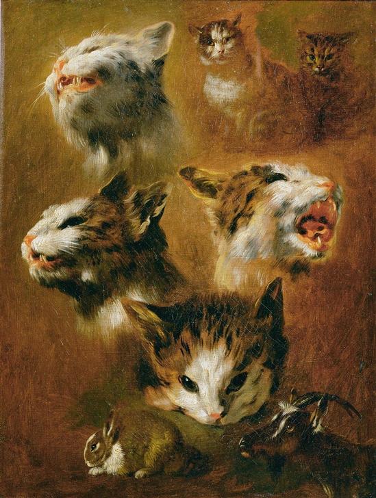 Tierstudien: Katzen, Kaninchen und Ziege de Pieter Boel