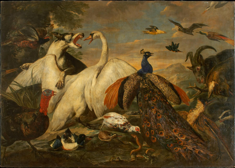 Fighting Animals as Allegory of the Combat between Virtue and Vice de Pieter Boel