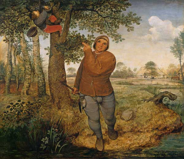 The bird thief. de Pieter Brueghel El Viejo
