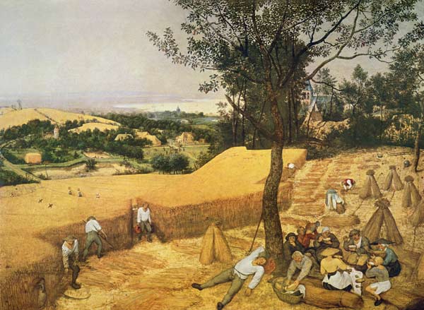 Cycle of the monthly pictures, the grain harvest m de Pieter Brueghel El Viejo