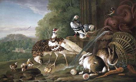 Birds and Rabbits de Pieter Casteels