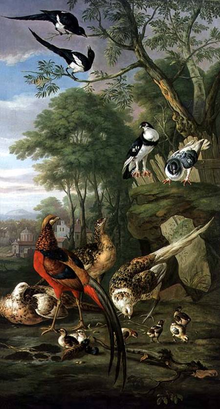 Cock pheasant, hen pheasant and chicks and other birds in a classical landscape de Pieter Casteels