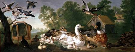 Ducks and Birds in a landscape de Pieter Casteels