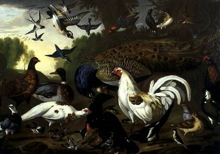 The Fable of the Raven with a Peacock, Cockerel, Woodpecker, Jay, Woodcock, and Magpie de Pieter Casteels