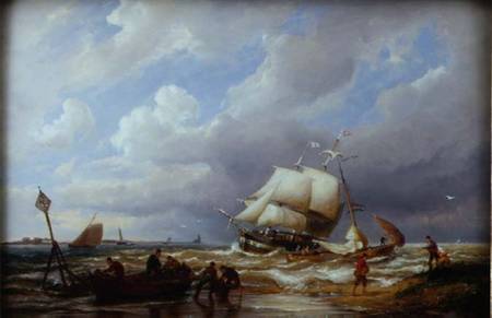 Pampas on the Zuider Zee de Pieter Cornelis Dommerson