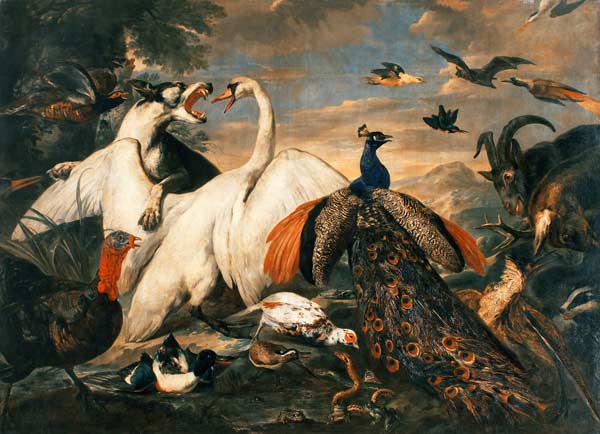 Kampf der Tiere als Tugend-Laster-Allegorie. de Pieter or Peter Boel