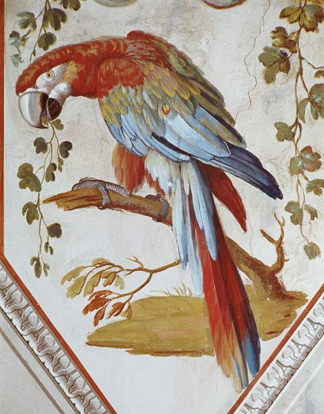 A Parrot de Pietro Rotati