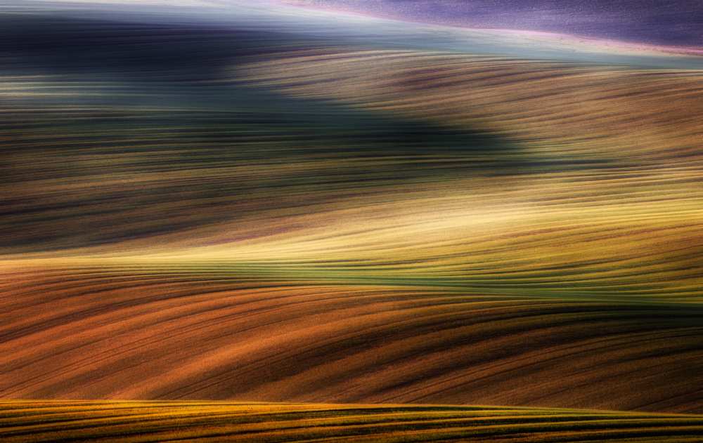 autumn fields de Piotr Krol (Bax)