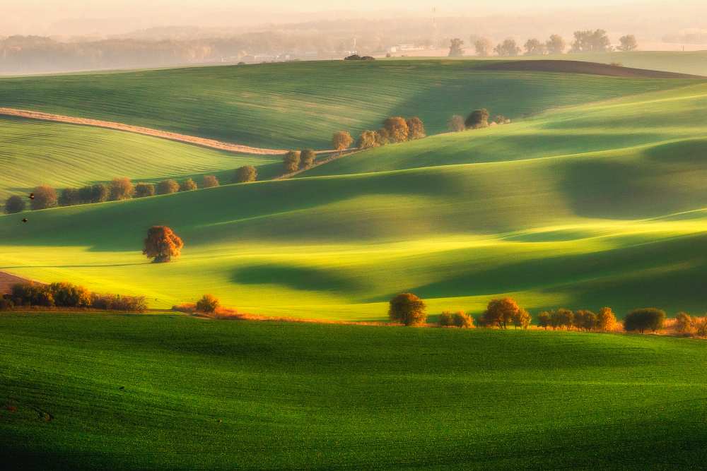 Green fields de Piotr Krol (Bax)