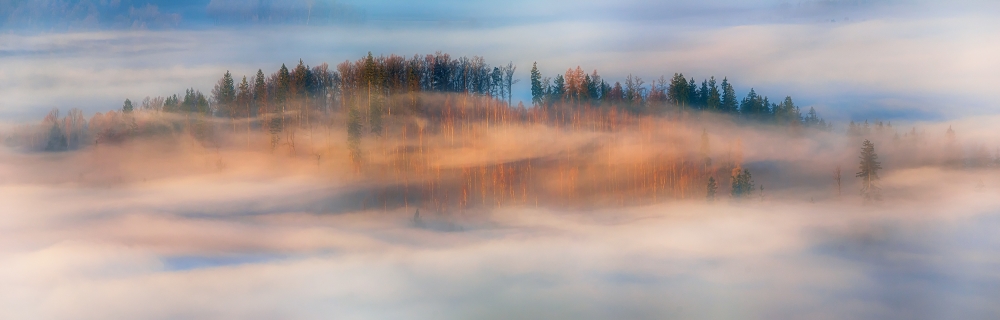 in the morning mists de Piotr Krol (Bax)